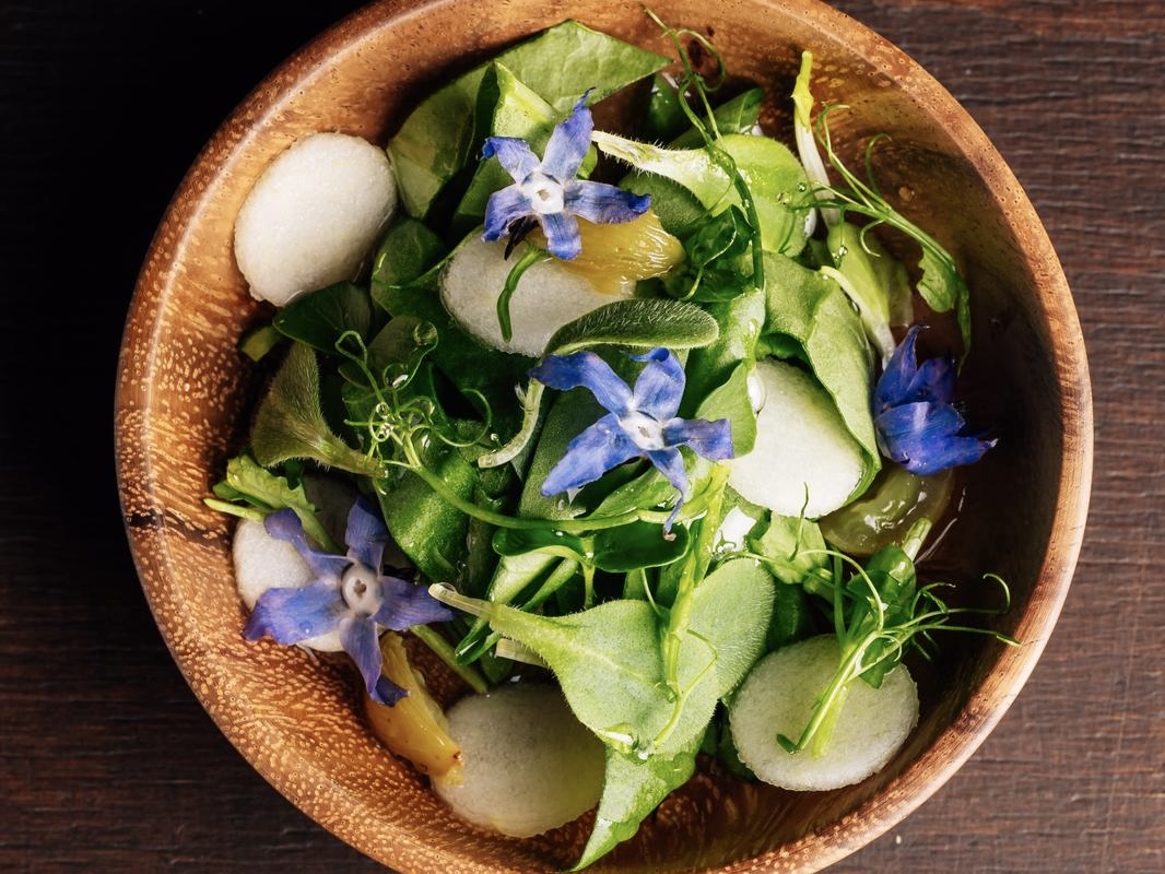 Sorgente: erbe, acetosa, borragine, fiore elettrico e sciroppo di gemme di pino