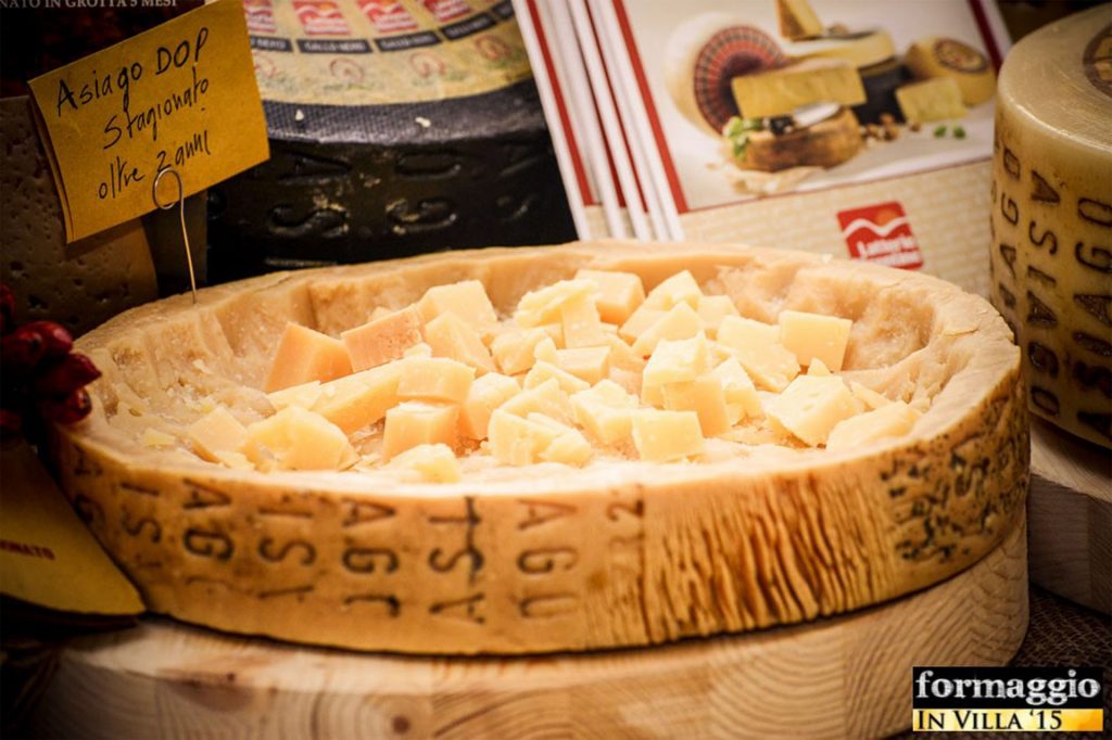 Formaggio in Villa 2026 a Cittadella tra stand, degustazioni e masterclass