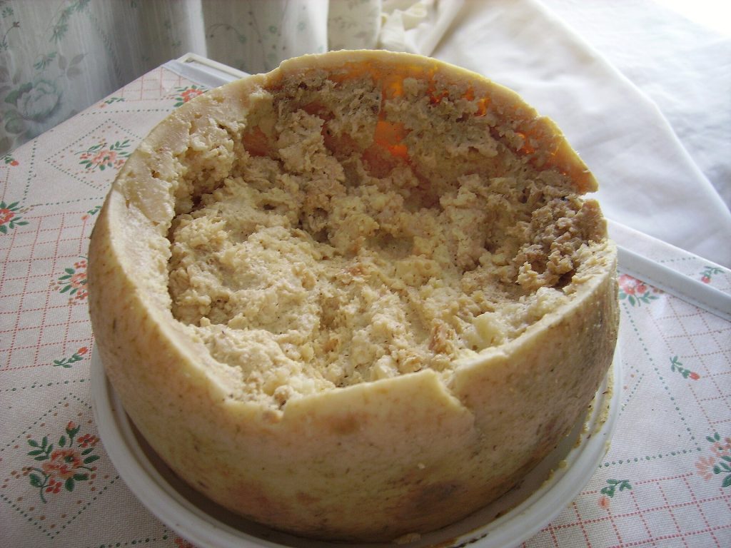 Casu marzu sardo aperto con pane carasau e vino rosso
